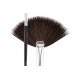Coastalscents Classic Small Fan Natural (BR-C-N39)