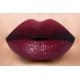 LA Splash Velvet Matte Lipstick 1460
