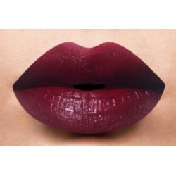 LA Splash Velvet Matte Lipstick 1460
