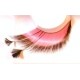 Elise Faux Eyelashes 357