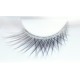 Elise Faux Eyelashes 101